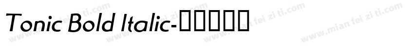 Tonic Bold Italic字体转换
